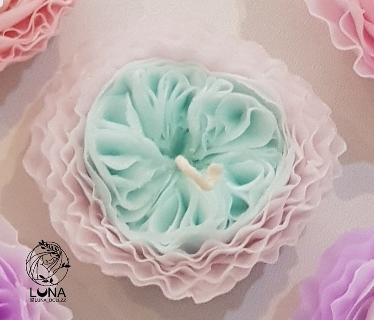 این گل داخل جعبه طلقی است